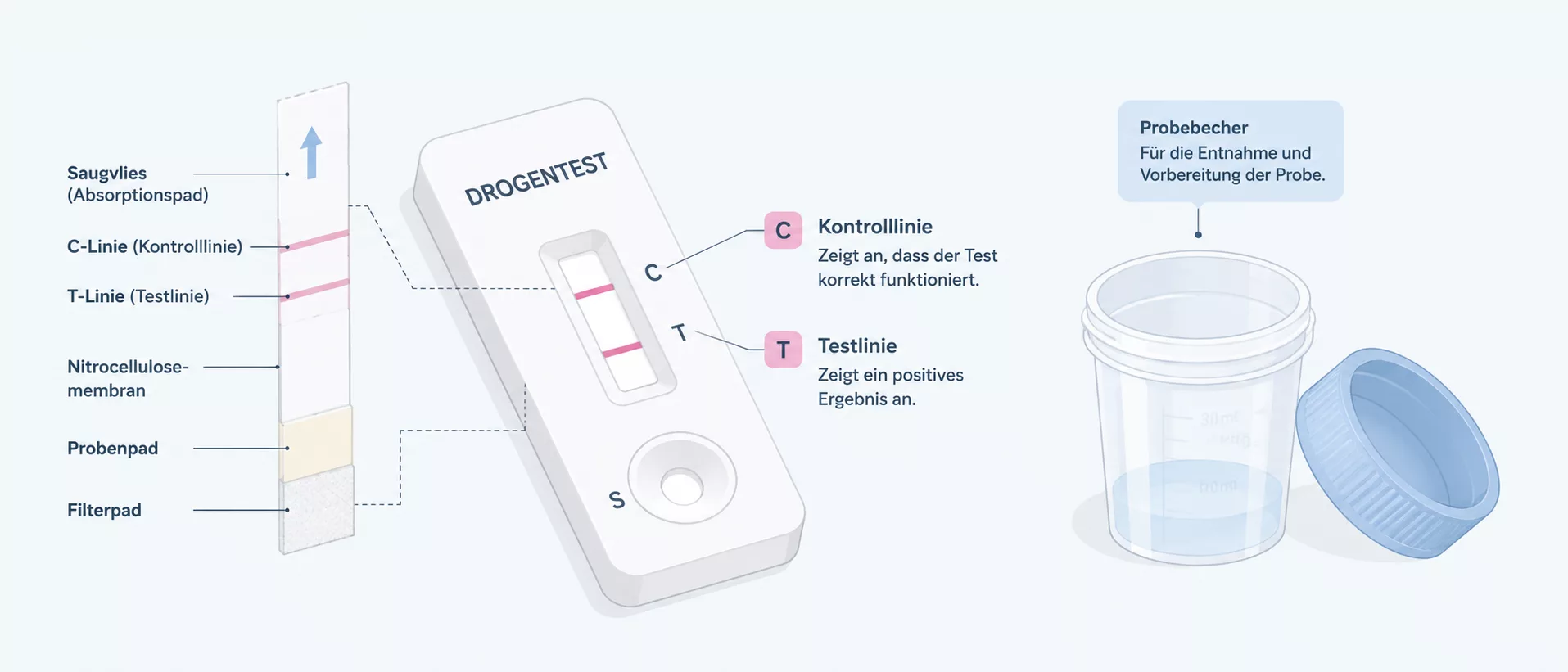 Drogentest-Anwendung: Teststreifen mit Kontroll- und Testlinie