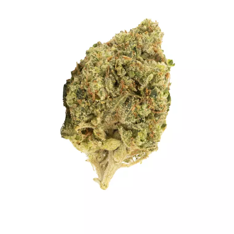 Canopy CME 28/1 – Produktbild des Anbieters Bloomwell