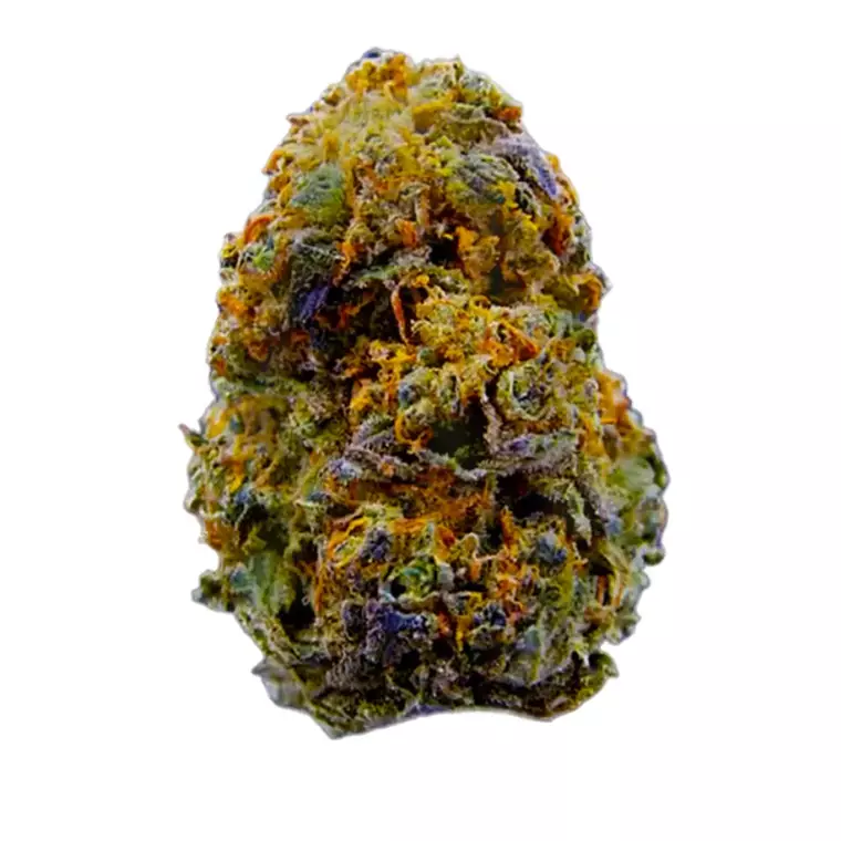 alephSana amber 26/1 – Produktbild des Anbieters Bloomwell