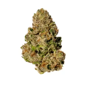 Breezy Crafted MNC 26/1 – Produktbild des Anbieters Bloomwell