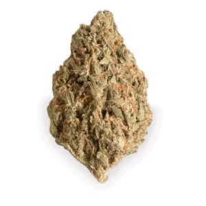 Pedanios 22/1 DNK – Produktbild des Anbieters Bloomwell