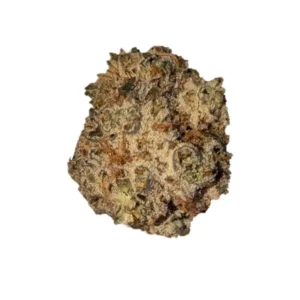 Breezy Swiss DI 28/1 – Produktbild des Anbieters Bloomwell
