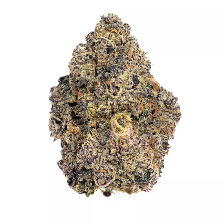 Cookies 2.0 26/1 CAN CM – Produktbild des Anbieters Bloomwell