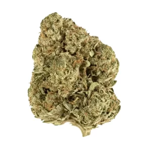 Demecan Core OG 21:01 – Produktbild des Anbieters Bloomwell