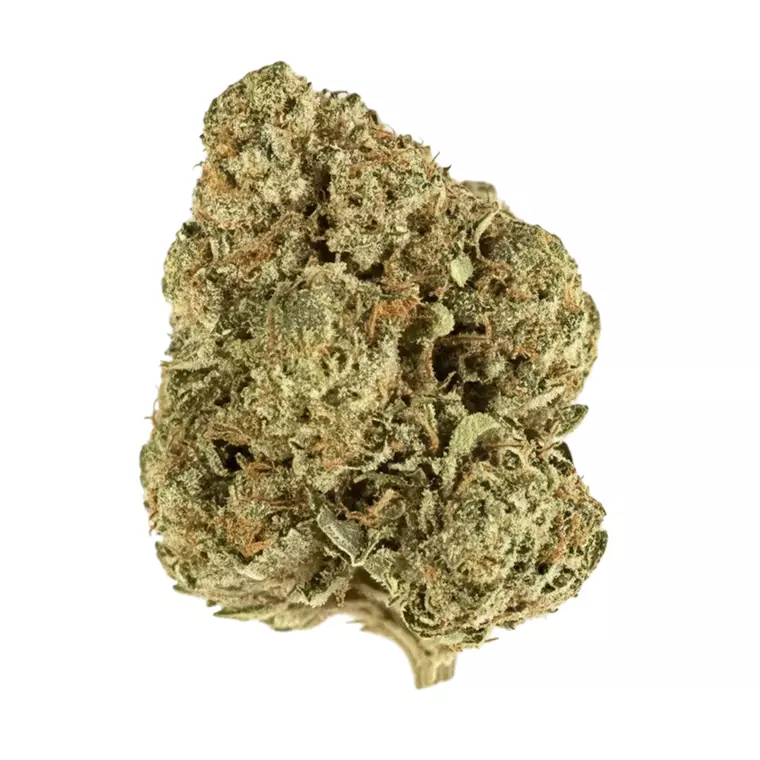 Demecan Core OG 21:01 – Produktbild des Anbieters Bloomwell