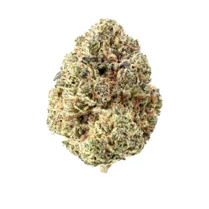 TRUU CG 29:01 – Produktbild des Anbieters Bloomwell