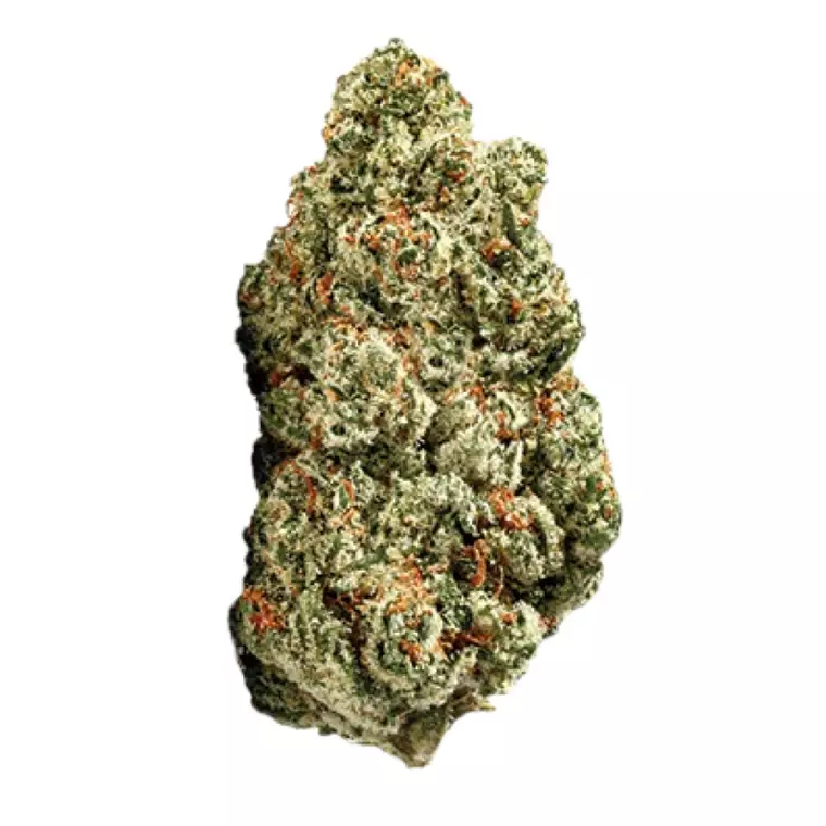 enua 30/1 SF4 CA HSB – Produktbild des Anbieters Bloomwell