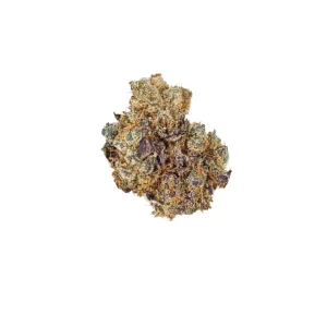 Dank Craft 26 FQ CAN – Produktbild des Anbieters Bloomwell