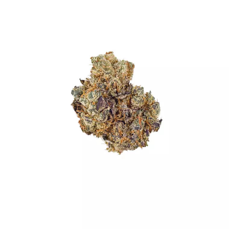 Dank Craft 26 FQ CAN – Produktbild des Anbieters Bloomwell