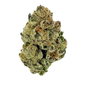 NICE 26/1 VC – Produktbild des Anbieters Bloomwell