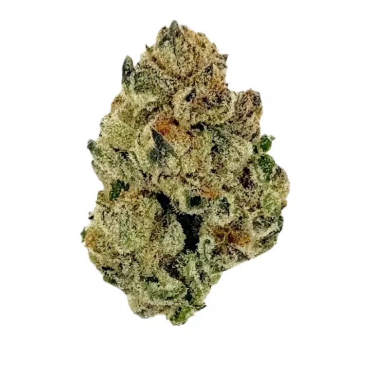 NICE 26/1 VC – Produktbild des Anbieters Bloomwell