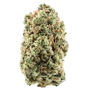 Siggis HBLT 22:01 – Produktbild des Anbieters Bloomwell