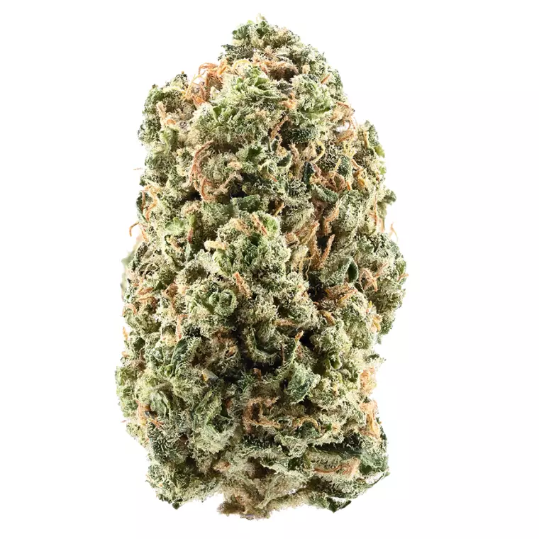 Siggis HBLT 22:01 – Produktbild des Anbieters Bloomwell