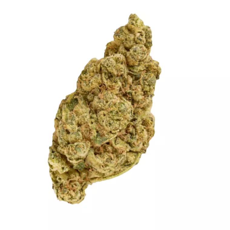 Tilray CRAFT THC25 TRM – Produktbild des Anbieters Bloomwell