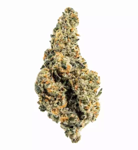 enua 30/1 TPM CA – Produktbild des Anbieters Bloomwell