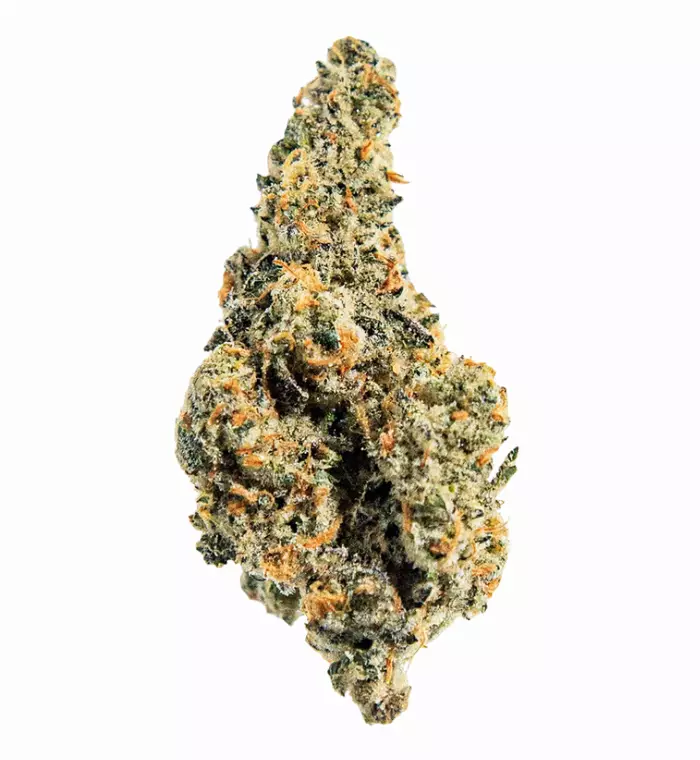enua 30/1 TPM CA – Produktbild des Anbieters Bloomwell