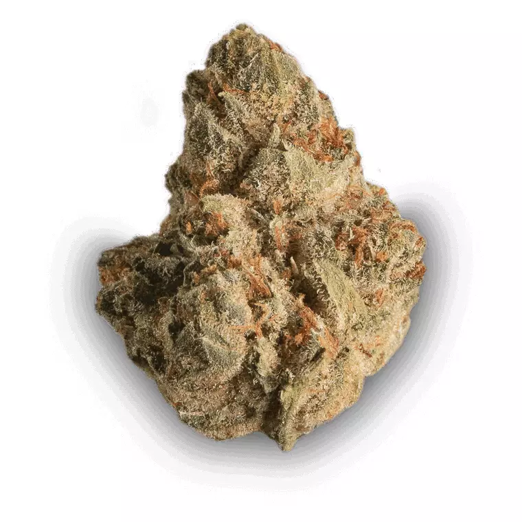 Cannamedical Sativa Classic AU – Produktbild des Anbieters Bloomwell