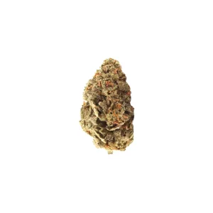 alephSana fire 26/1 – Produktbild des Anbieters Bloomwell
