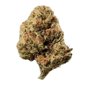 Huala 27/1 CA OSB – Produktbild des Anbieters Bloomwell