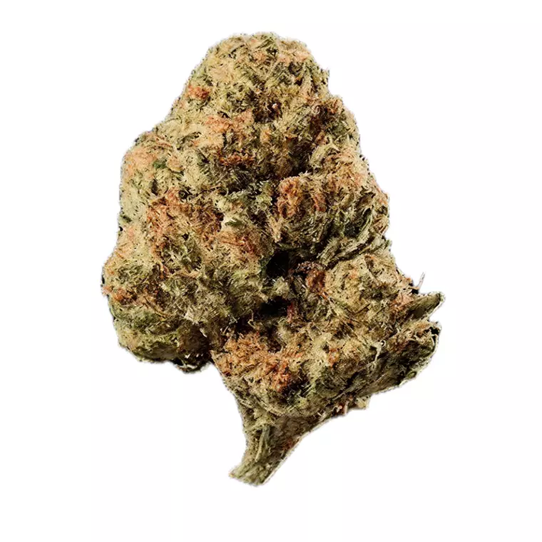 Huala 27/1 CA OSB – Produktbild des Anbieters Bloomwell