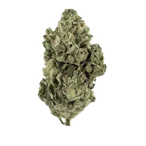 Demecan GT SBCQ 27:01 Drop – Produktbild des Anbieters Bloomwell