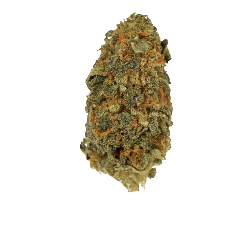 CM 24/1 BRY – Produktbild des Anbieters Bloomwell
