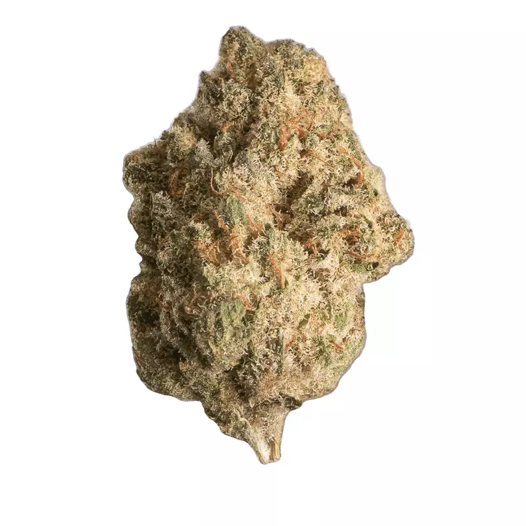Canopy KMI 28/1 – Produktbild des Anbieters Bloomwell