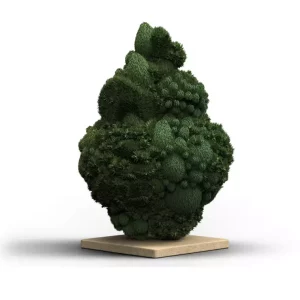 Aphria RX THC25 CTB – Produktbild des Anbieters Bloomwell