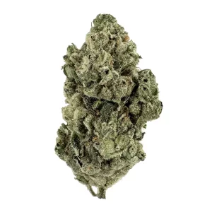 enua 22/1 SBB CA – Produktbild des Anbieters Bloomwell