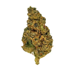 LIT 31/1 PBB – Produktbild des Anbieters Bloomwell
