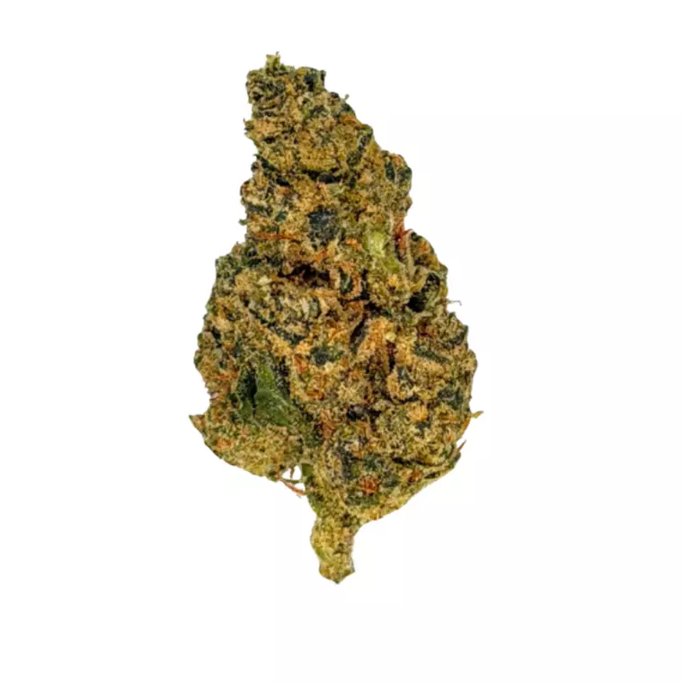 LIT 31/1 PBB – Produktbild des Anbieters Bloomwell