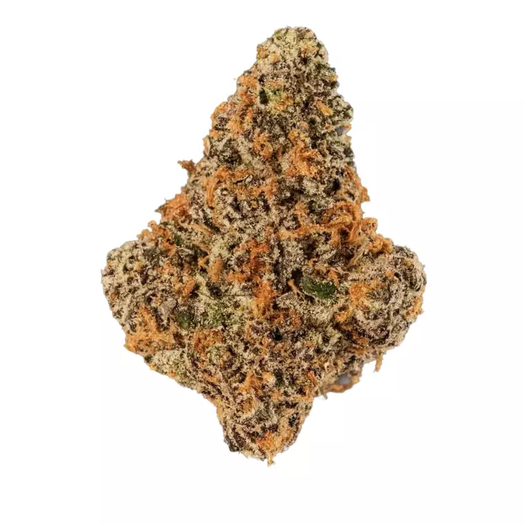 420 Evolution 22/1 CA MGD – Produktbild des Anbieters Bloomwell
