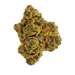 Tweed GMO 30/1 – Produktbild des Anbieters Bloomwell