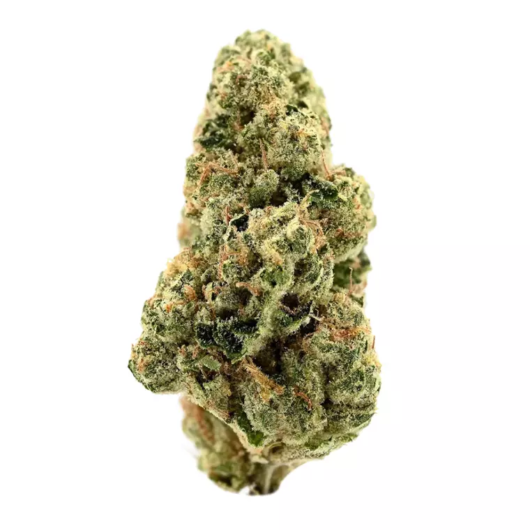 Demecan GT Strong Drop 27:01 – Smalls – Produktbild des Anbieters Bloomwell