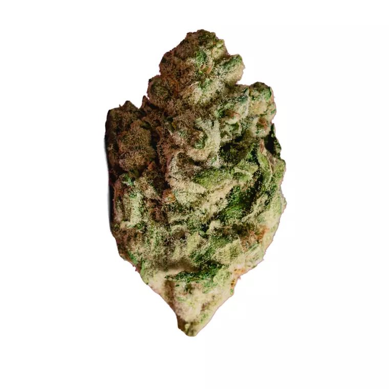 enua 30/1 PS3 CA BCP – Produktbild des Anbieters Bloomwell