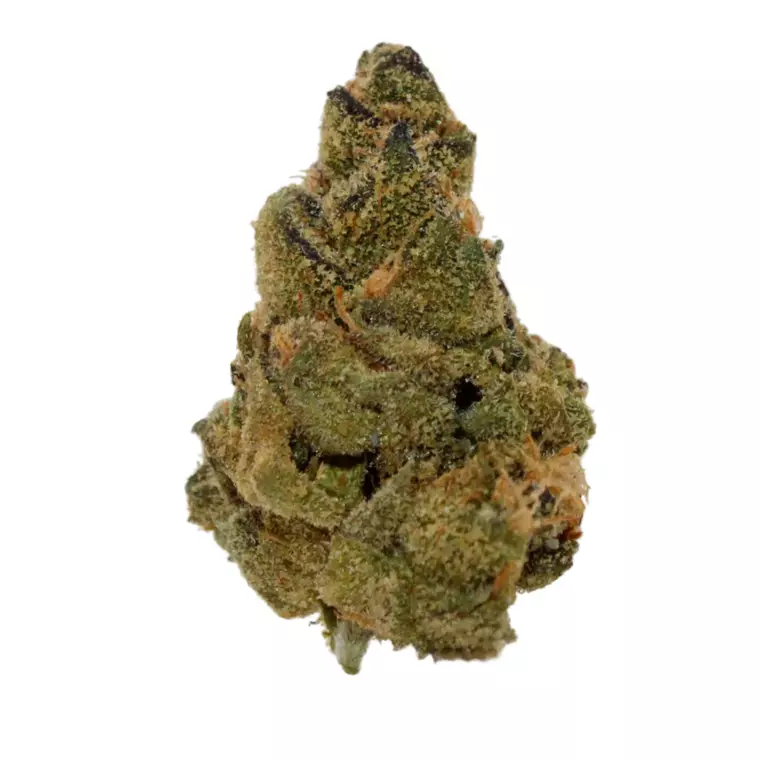 LOT 420 AB 25/1 – Produktbild des Anbieters Bloomwell