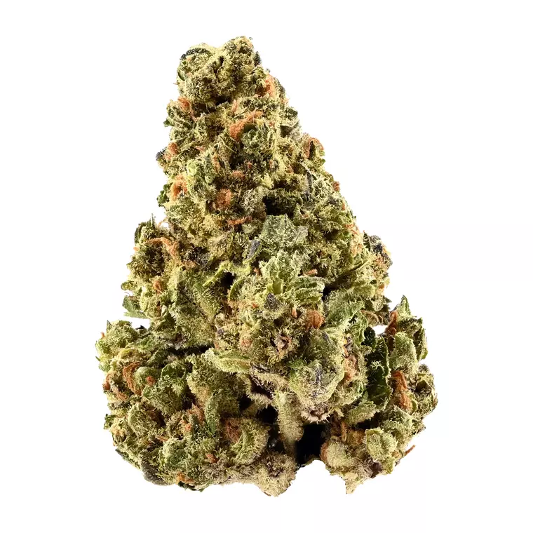 TRUU LX 24:01 – Produktbild des Anbieters Bloomwell