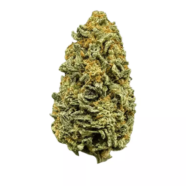 Bud-Jet 18/1 SUS – Produktbild des Anbieters Bloomwell