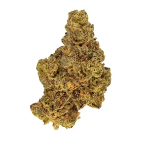 J.R. Strain GP 31/1 – Produktbild des Anbieters Bloomwell