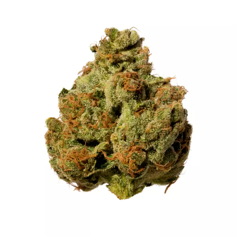 Breezy Crafted CMC 25/1 – Produktbild des Anbieters Bloomwell
