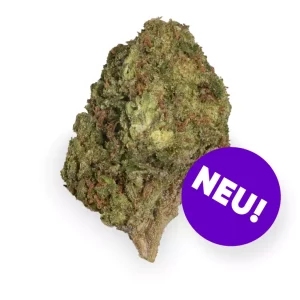 Care CAG THC20 – Produktbild des Anbieters Bloomwell