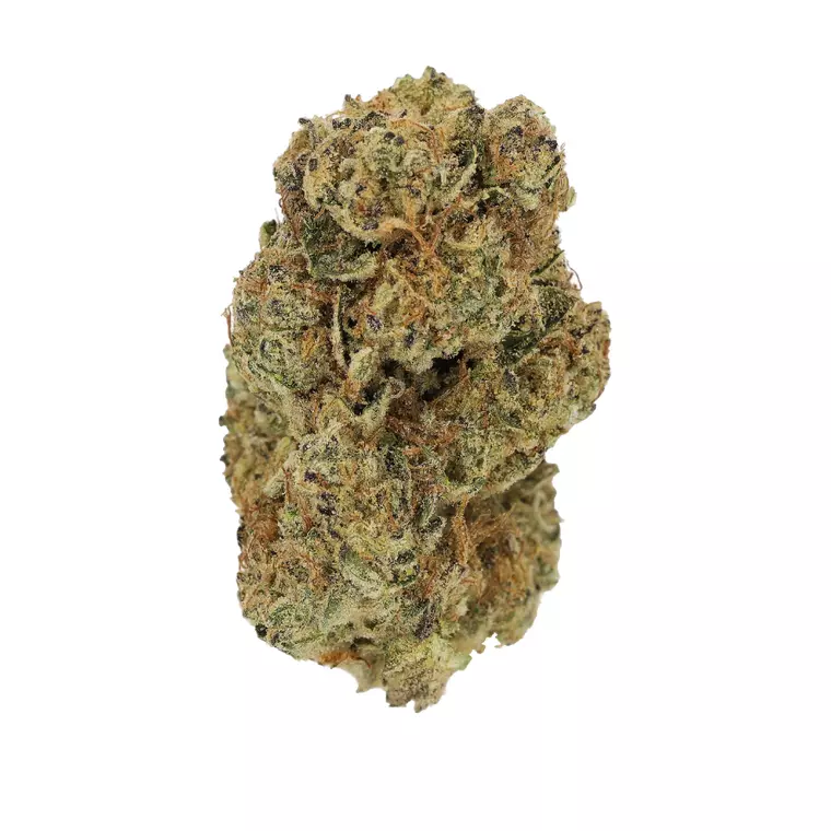 Luana 20/1 GMS – Produktbild des Anbieters Bloomwell