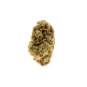 Demecan AC Duen 23:01 – Produktbild des Anbieters Bloomwell