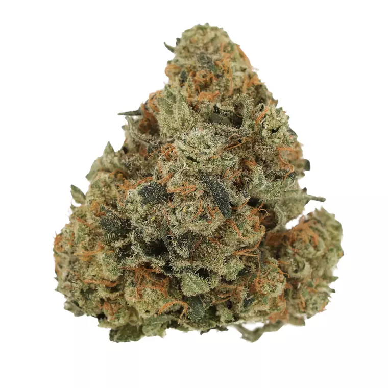 Luana 20/1 GSC – Produktbild des Anbieters Bloomwell