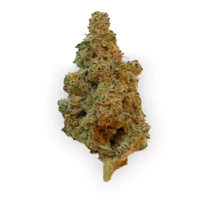 Canopy AKH 24/1 – Produktbild des Anbieters Bloomwell
