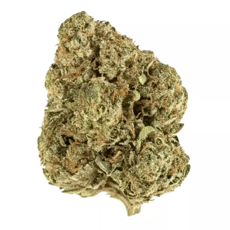 Demecan Core OG 23:01 – Produktbild des Anbieters Bloomwell