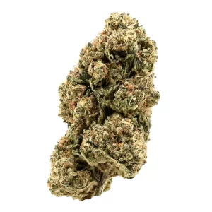 Demecan Core Golden Horizon 30:01 – Produktbild des Anbieters Bloomwell