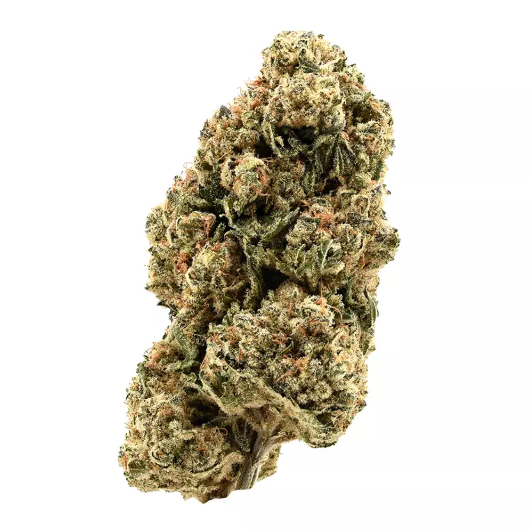 Demecan Core Golden Horizon 30:01 – Produktbild des Anbieters Bloomwell