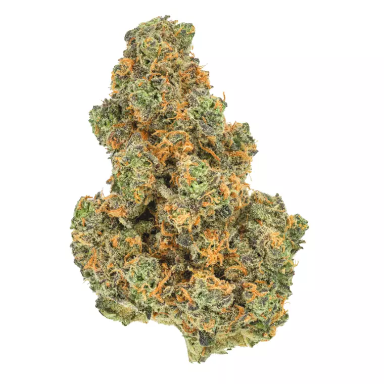 Pedanios 31/1 PND-CA – Produktbild des Anbieters Bloomwell