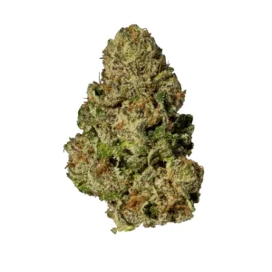 NICE NWA 26/1 – Produktbild des Anbieters Bloomwell